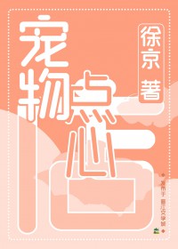 宠物点化需要多少点化丹