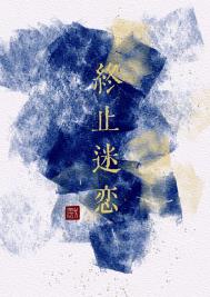 终止迷恋推荐小说