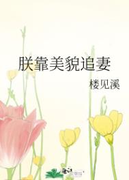 朕靠美貌征服天下