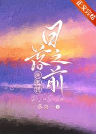 日落之前拥抱我全集