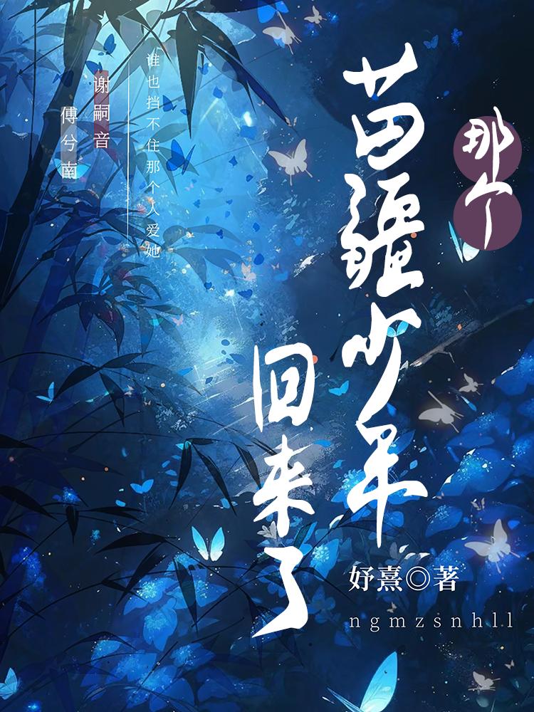 那个苗疆少年回来了讲的什么