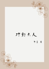 功勋讲的是什么事