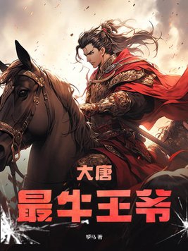 大唐最强军火商免费