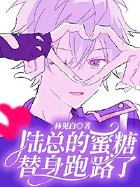 陆总专宠替身娇妻