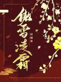 傲雪凌霜通关技巧
