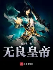 无良皇帝的历史小说