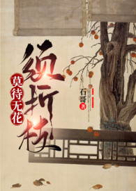 莫待无花空折枝文案