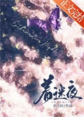 着迷夜小说全文免费