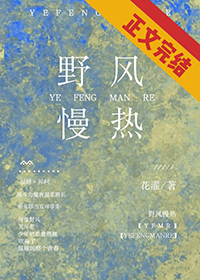 野风慢热小说免费阅读下载