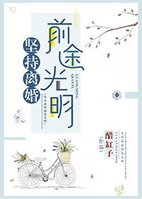 坚持离婚前途光明免费阅读五十六章