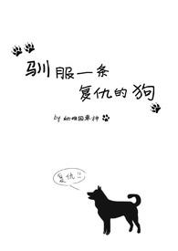 驯养一头复仇的狗