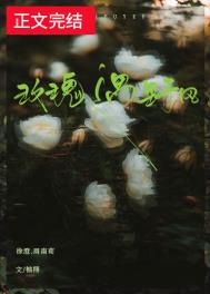 玫瑰遇野风小说免费