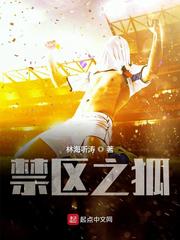 足球禁区之狐小说