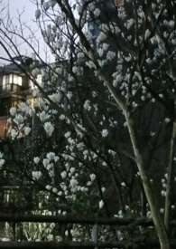 各取所需大结局