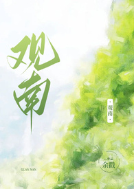 观南上域怎么样