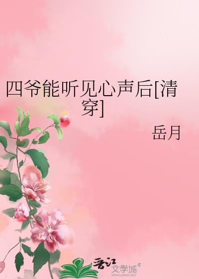四爷是穿越的小说