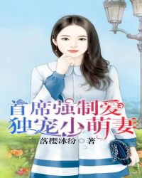 首席强制爱独宠迷糊小娇妻