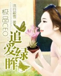 极品ceo小说