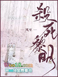 杀死黎明讲的什么