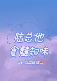 陆总他食髓知味全文
