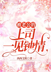 被上司一见钟情的小说