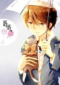 哥哥恋爱吗小说