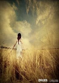 老牛影视文化传媒有限公司在线