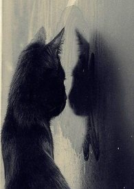 素四样家常做法