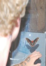 幼杀在说唱圈什么水平