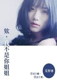 我不是你的宋冬野吉他谱简单版