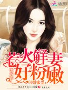 闪婚蜜宠新妻完整版