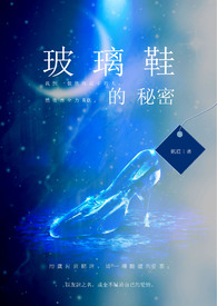 玻璃鞋的童话国语版